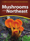 Mushrooms of the Northeast: A Simple Guide to Common Mushrooms