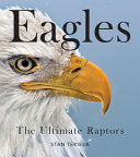 Bald Eagles: The Ultimate Raptors