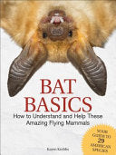 Bat Basics: How to Understand and Help These Amazing Flying Mammals